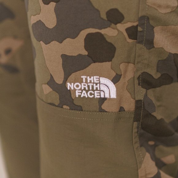 NWT $85 THE NORTH FACE Women L Classic V Jogger FLASH DRY UPF 50+ Pants Outdoors - Picture 3 of 11